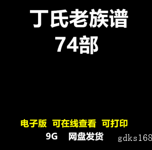 丁氏老家谱合集丁姓宗谱寻根姓氏研究寻根家族族谱电子版pdf